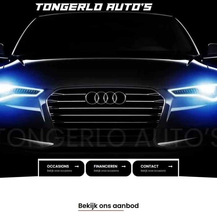 tongerloautos-home (1)